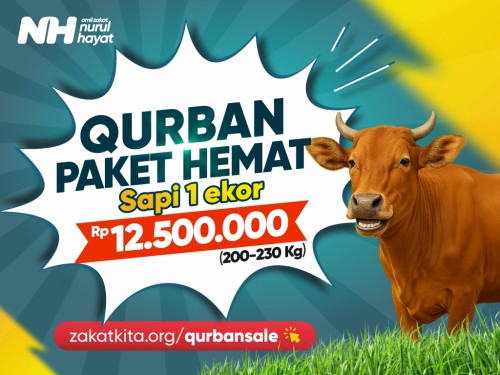 Qurban Flash Sale: Sapi 1 ekor (200 - 230 Kg)