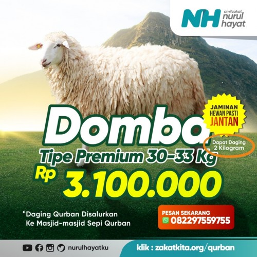 Domba Salur Premium (Bobot 30 - 33 Kg)