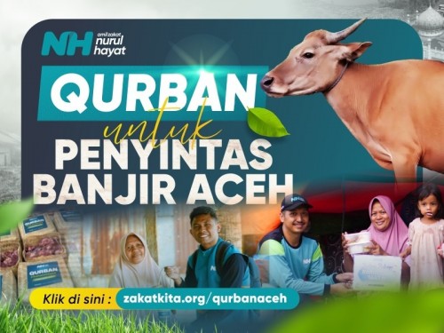 Sapi Patungan 1/7 Salur Aceh