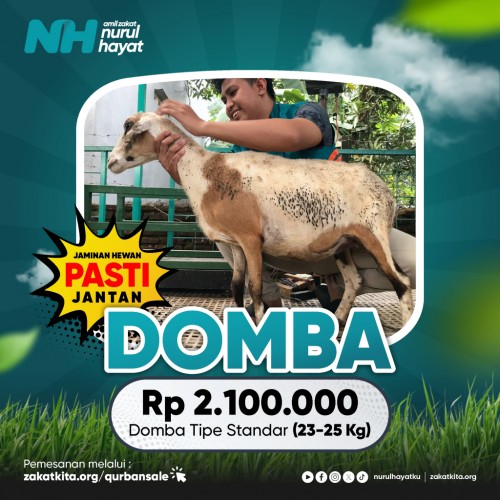 Domba Standar (23 - 25 Kg)